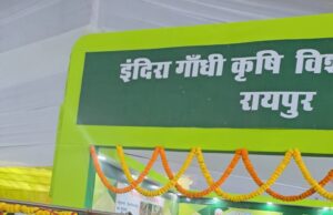 बिलासपुर के कृषि वैज्ञानिकों का कमाल, विकसित की हल्के गेहूं की नई किस्म, रोटियां अधिक बनेंगी