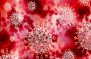 भारत में मिला कोरोना का BF7 चीनी वेरिएंट से प्रभावित पहला मरीज, केन्द्रीय स्वास्थ्य मंत्री ने किया आगाह