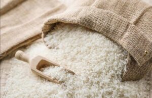 खाद्य मंत्री के गृह जिले का जिला खाद्य अधिकारी रविंद्र सोनी निलंबित , आरोपों पर चर्चा का बाजार गर्म