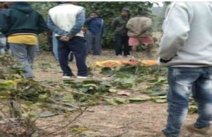 महिला को घर से उठा ले गया आदमखोर तेंदुआ, कुछ ही दूरी पर मिली लाश