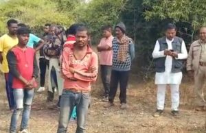 शहर के करीब हाथियों का दल, एक को कुचलकर मार डाला, लोगों में दहशत