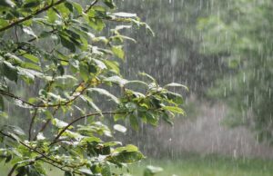 छत्तीसगढ़ में तीन दिनों तक गरज- चमक के साथ बारिश की संभावना