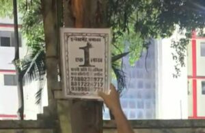 शहर में बड़ी-बड़ी कीलें ठोककर पेड़ों को किया जा रहा है छलनी, सूख जाने का खतरा