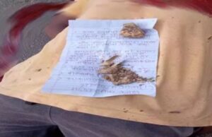 CG news: गृहमंत्री अमित शाह के छत्तीसगढ़ दौरे से पहले बीजापुर में भाजपा नेता की हत्या, मौके पर मिला नक्सली पर्चा