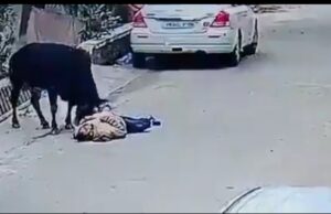 मॉर्निंग वॉक पर निकले बुजुर्ग पर सांड ने किया हमला, मौत, वीडियो वायरल