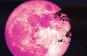 Pink Moon : भारत में सुबह 5 बजे आसमान पर दिखेगा ‘गुलाबी चांद’ का अद्भुत नजारा
