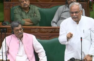 CG assembly session: विधानसभा में गूंजा हसदेव अरण्य में पेड़ों की कटाई का मामला