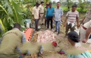 Poisonous gas in the well: कुएं में सफाई करने उतरे चाचा-भतीजे की दम घुटने से मौत, गांव में पसरा मातम