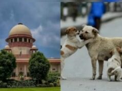 Supreme court: आवारा कुत्तों की समस्या पर सुप्रीम कोर्ट आज सुनाएगा फैसला