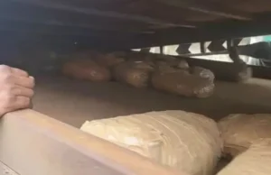 CG Crime : ट्रक के गुप्त चेम्बर में छिपाकर ले जा रहे थे 2 क्विंटल गांजा, दो तस्कर गिरफ्तार