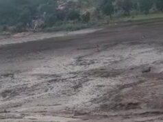 Nature Disaster: बलरामपुर जिले में बांध टूटा, सास-बहू की मौत, दो बच्चों सहित 4 लापता लोगों की तलाश जारी