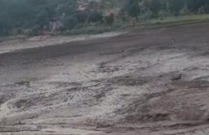 Nature Disaster: बलरामपुर जिले में बांध टूटा, सास-बहू की मौत, दो बच्चों सहित 4 लापता लोगों की तलाश जारी