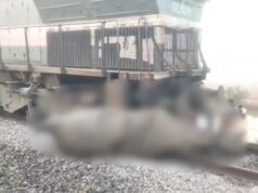 Train accident : असम में राजधानी एक्सप्रेस से टकराकर 8 हाथियों की मौत, 5 डिब्बे पटरी से उतरे