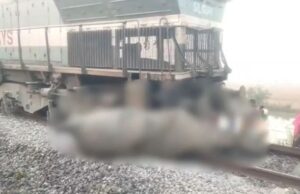 Train accident : असम में राजधानी एक्सप्रेस से टकराकर 8 हाथियों की मौत, 5 डिब्बे पटरी से उतरे