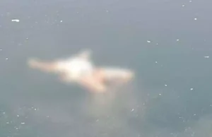 Raipur City News : ब्लू वाटर खदान में सिर कटी लाश मिलने से फैली सनसनी, दोनों हाथों के पंजे भी नहीं