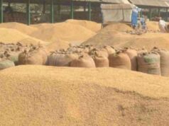 Food officer suspended: 8 करोड़ के धान की हेराफेरी के मामले में सरकार की सख्त कार्रवाई, फूड अफसर निलंबित