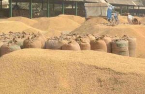 Food officer suspended: 8 करोड़ के धान की हेराफेरी के मामले में सरकार की सख्त कार्रवाई, फूड अफसर निलंबित