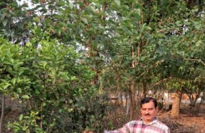 Roadside greenery: 10 साल की तपस्या और सड़क किनारे खड़ी कर दी हरियाली