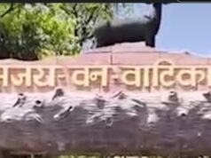 Ambikapur news: संजय वन वाटिका में 15 हिरणों की मौत, प्रभारी और तीन सहायक निलंबित