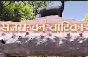 Ambikapur news: संजय वन वाटिका में 15 हिरणों की मौत, प्रभारी और तीन सहायक निलंबित