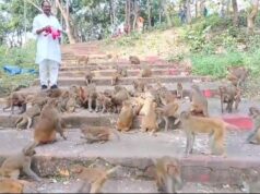 Companion of the Voiceless : बेजुबानों का सच्चा साथी, कुदरगढ़ में इस आरक्षक ने अपनी सेवा से जीता दिल