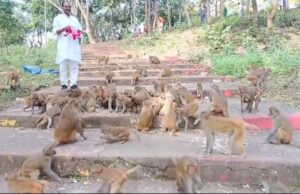 Companion of the Voiceless : बेजुबानों का सच्चा साथी, कुदरगढ़ में इस आरक्षक ने अपनी सेवा से जीता दिल