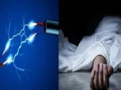 CG News : मवेशियों से फसल बचाने खेत में बिताया था करंट , चपेट में आकर पिता-पुत्र की मौत