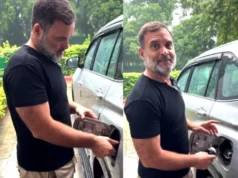 Petrol Politics : E20 पेट्रोल पर राहुल गांधी का सरकार पर हमला, बोले- ‘दाल में कुछ काला नहीं, पूरी दाल ही काली