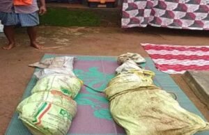 CG Crime : दोहरे हत्याकांड से फैली सनसनी, बोरे में मिली पति-पत्नी की लाश, पुलिस जांच में जुटी