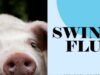 CG swine flue alert : दुर्ग में स्वाइन फ्लू की दस्तक, 2 साल की बच्ची H1N1 पॉजिटिव, संपर्क में आए लोगों की निगरानी