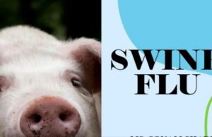 CG swine flue alert : दुर्ग में स्वाइन फ्लू की दस्तक, 2 साल की बच्ची H1N1 पॉजिटिव, संपर्क में आए लोगों की निगरानी