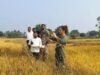 Crops Girdavari Boycott : PV ऐप से फसल गिरदावरी का पटवारी संघ ने किया बहिष्कार, दबाव बनाया गया तो हड़ताल पर जाएंगे