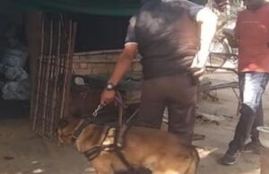 बालको के रिटायर्ड कर्मचारी की हत्या, फार्म हाउस में मिली लाश