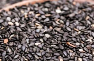 मकर संक्रांति की प्रचलित कथा, इसलिए है तिल का बड़ा महत्व