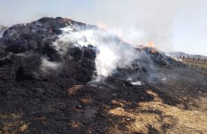 गौठान में पैरा के ढेर में लग गई आग, दो लाख का 215 ट्रैक्टर पैरा स्वाहा, सीएम की अपील पर किसानों ने किया था दान