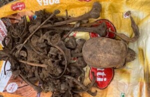 सेप्टिक टैंक में मानव कंकाल मिलने से सनसनी, एक साल पुराना होने का अनुमान