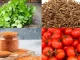 देश में नेपाल से आएगा टमाटर अफ्रीका से दाल, महंगाई पर लगेगी लगाम