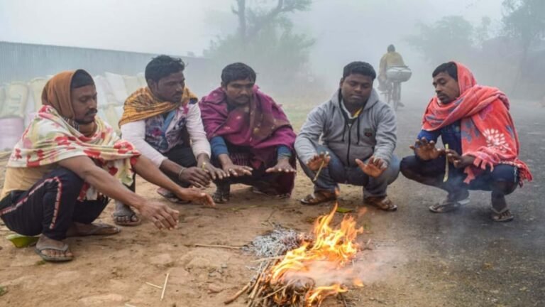 cold-wave-in-india-sixteen_nine_0.jpg