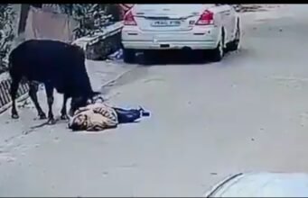 मॉर्निंग वॉक पर निकले बुजुर्ग पर सांड ने किया हमला, मौत, वीडियो वायरल