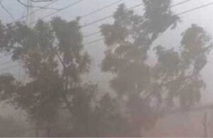 CG Weather alert: मौसम विभाग का येलो अलर्ट, छत्तीसगढ़ में आंधी तूफान के साथ भारी बारिश की संभावना