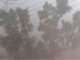 CG Weather alert: मौसम विभाग का येलो अलर्ट, छत्तीसगढ़ में आंधी तूफान के साथ भारी बारिश की संभावना