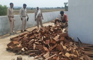 forest department raid: डीएफओ को मिली सूचना पर बड़ी कार्रवाई, बड़े पैमाने पर अवेध इमारती लकड़ी जब्त
