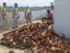 forest department raid: डीएफओ को मिली सूचना पर बड़ी कार्रवाई, बड़े पैमाने पर अवेध इमारती लकड़ी जब्त