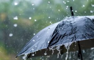 Rain in Chhattisgarh so far: बीजापुर में सर्वाधिक 1131.0 मिमी और सरगुजा में सबसे कम 184.7 मिमी वर्षा