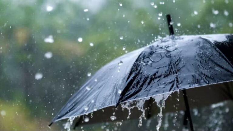 65cc1254a861b-it-may-rain-in-these-states-140731432-16x9.jpg
