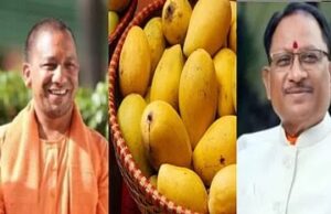 Gift of mangoes: योगी आदित्यनाथ ने विष्णुदेव साय को भेजे काकोरी आम, सीएम ने कहा -प्रभु श्रीराम के ननिहाल में आते रहे होंगे ये रसीले आम