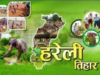 The joys of Hareli: मुख्यमंत्री निवास में हरेली की तैयारी, दिखाई देगी छत्तीसगढ़ की लोक संस्कृति
