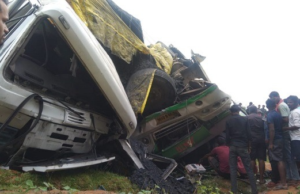 Bus fell into the ditch: कोरबा में यात्रियों से भरी बस की ट्रेलर से टक्कर, 20 फीट गहरी खाई में गिरी बस