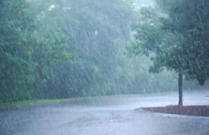 Rain fall in Chhattisgarh: छत्तीसगढ़ में 1094 मिमी औसत बारिश, बीजापुर में सबसे अधिक, बेमेतरा में सबसे कम