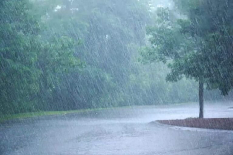 Weather-Forecast.jpg